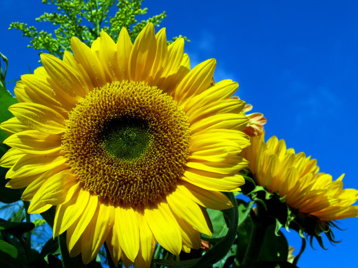 614946 (a): :1600x1200